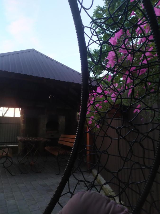 Чорний Лелека Sviteaz Exterior foto