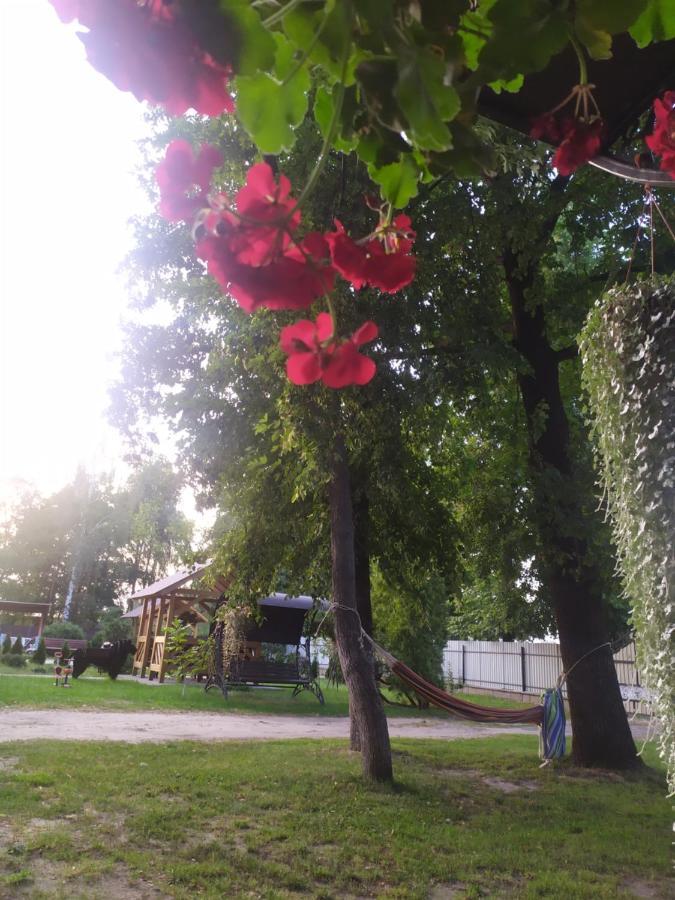 Чорний Лелека Sviteaz Exterior foto